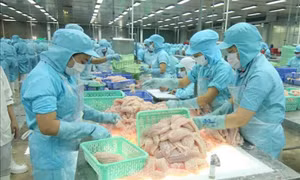 Xuất khẩu nông, lâm, thủy sản có khả năng vượt 47 tỷ USD