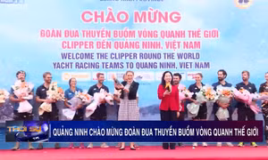 Quảng Ninh chào mừng đoàn đua thuyền buồm vòng quanh thế giới