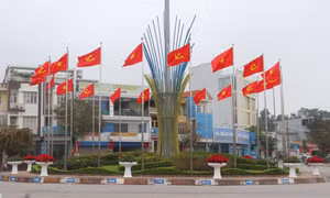 Vân Đồn: Nhộn nhịp sắc xuân đón Tết Giáp Thìn 2024