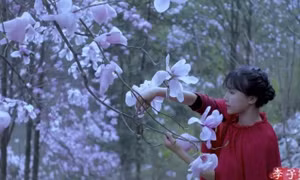 Lý Tử Thất gây chú ý sau ba năm vắng bóng