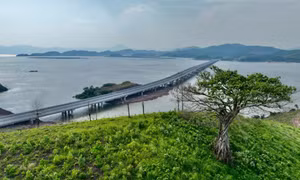 Muôn nẻo đường xuân