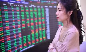 Chứng khoán năm rồng có bùng nổ?