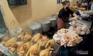 Cách ăn thịt gà tốt nhất cho sức khỏe