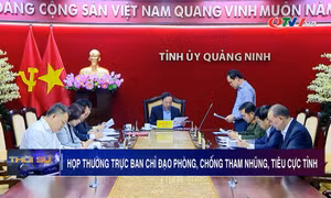 Họp Thường trực Ban Chỉ đạo phòng, chống tham nhũng, tiêu cực tỉnh