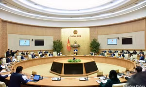 Triển khai tích cực kế hoạch phát triển kinh tế-xã hội ngay từ những tháng đầu năm 2024