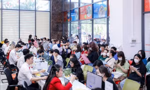 Tuyển sinh đại học 2024: Mở rộng đào tạo các ngành công nghệ cao 