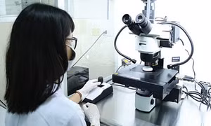 Viên chức ngạch kỹ sư có được phụ cấp ưu đãi nghề?