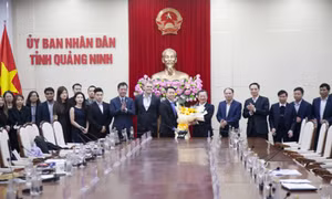 Chủ tịch UBND tỉnh tiếp và làm việc với đại diện các quỹ đầu tư quốc tế