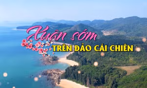 Xuân sớm trên đảo Cái Chiên