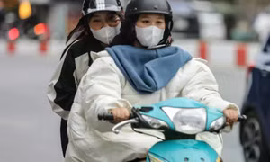 Đông Bắc Bộ có mưa, mưa rào rải rác và có nơi có dông, trời rét, vùng núi có nơi dưới 11 độ C