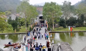 Thượng sơn trẩy hội xuân Yên Tử 