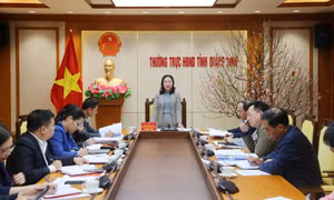 Thống nhất nội dung giám sát việc thực hiện nhiệm vụ thu ngân sách nhà nước trên địa bàn tỉnh giai đoạn 2021-2023