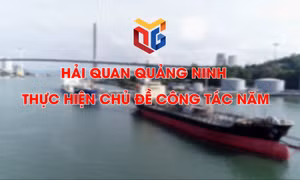 Hải quan Quảng Ninh thực hiện chủ đề công tác năm