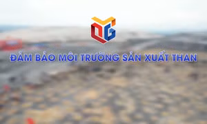 Đảm bảo môi trường sản xuất than