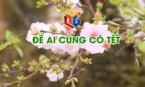 Để ai cũng có Tết