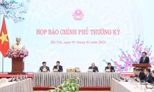 Họp báo Chính phủ thường kỳ tháng 1/2024