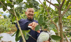 Ngày mới ở Sơn Dương