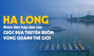 Hạ Long - Điểm đến hấp dẫn của Cuộc đua thuyền buồm vòng quanh thế giới