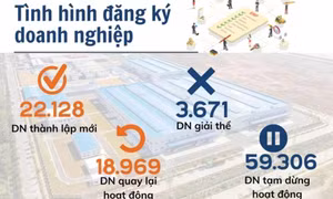 Kinh tế Việt Nam tiếp tục tăng trưởng ấn tượng