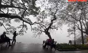 Thời tiết ngày 3/2: Bắc Bộ và Bắc Trung Bộ sương mù, nồm ẩm