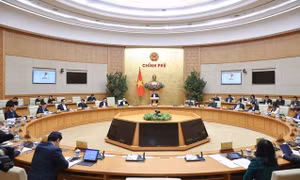 Khẩn trương sắp xếp đơn vị hành chính cấp xã, cấp huyện; triển khai chế độ tiền lương mới