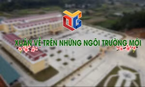 Xuân về trên những ngôi trường mới