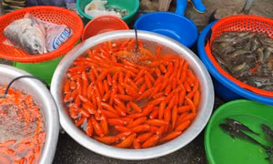 Hàng hóa ế ẩm dịp cúng ông Công ông Táo