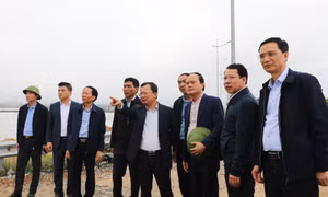 Tập trung phát huy lợi thế trung tâm kết nối của vịnh Cửa Lục