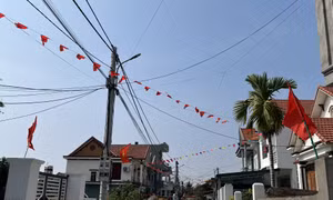 “Trong quý I/2024 TP Hạ Long sẽ hoàn thành di dời các cột điện nằm giữa đường”