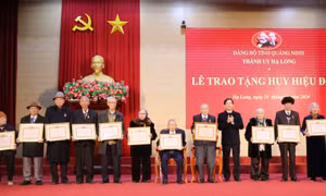 Vững bước dưới cờ Đảng
