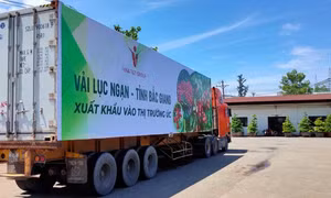 Tăng cường kết nối logistics thúc đẩy tiêu thụ, xuất khẩu nông lâm thủy sản