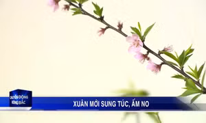 Xuân mới sung túc, ấm no