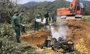 Tiêu hủy 13.000 con vịt giống nhập lậu từ Trung Quốc