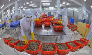 Khu vực FDI xuất siêu trên 3,5 tỷ USD trong tháng 1/2024