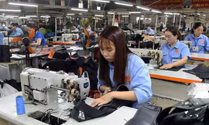 Tạo điều kiện để kinh tế tư nhân phát triển mạnh mẽ hơn