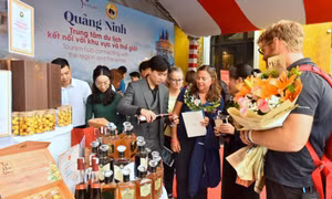 Quảng bá sản vật, du lịch Quảng Ninh qua Clipper Race