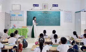 Phải có chứng chỉ bồi dưỡng chức danh nghề trong thời gian tập sự