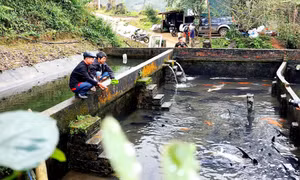 Xây dựng nông thôn mới ở vùng đất khó Bình Liêu