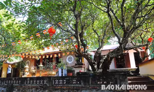 Chùa Ngũ Đài - chốn tổ linh thiêng, vị trí quan trọng trong Thiền phái Trúc Lâm