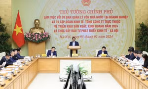 Thủ tướng yêu cầu tập trung cơ cấu lại 19 Tập đoàn Kinh tế, Tổng công ty Nhà nước