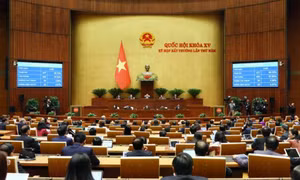 Ký chứng thực Luật Đất đai (sửa đổi) và Luật Các Tổ chức Tín dụng (sửa đổi)