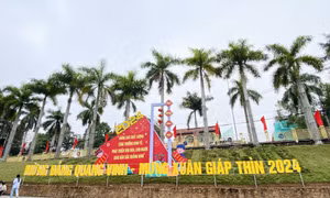 Tiên Yên cờ hoa rực rỡ chào đón năm mới Giáp Thìn 2024