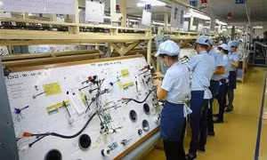 Danh tính mặt hàng Việt Nam đã chi gần 12 tỷ USD nhập khẩu gần 2 tháng qua