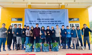 Sở KH&CN tổ chức Tết trồng cây tại huyện Đầm Hà