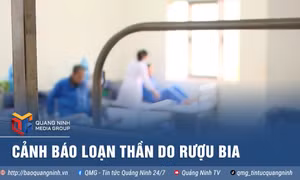 Cảnh báo loạn thần do rượu bia