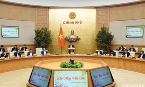 Tập trung triển khai hiệu quả các nhiệm vụ trọng tâm sau Tết Nguyên đán Giáp Thìn