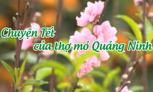 Chuyện Tết của thợ mỏ Quảng Ninh