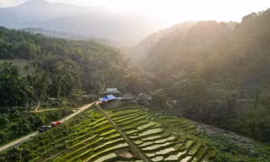 Ngắm mùa lúa xanh ở Pù Luông