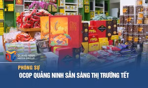 OCOP Quảng Ninh sẵn sàng thị trường tết
