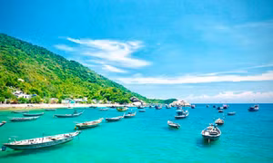 TourDaNangCity chuyên tổ chức tour Cù Lao Chàm uy tín chuyên nghiệp